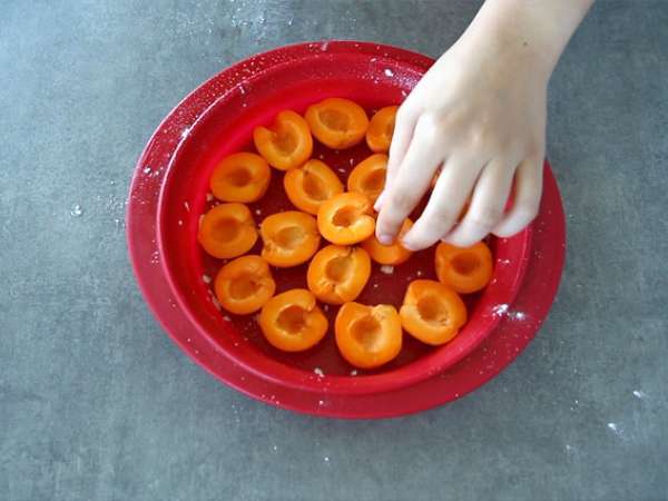 Кайсиев клафутис - Подготовка стъпка 2