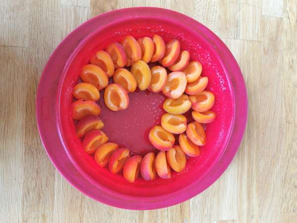 Лесен кайсиев клафутис - Подготовка стъпка 4