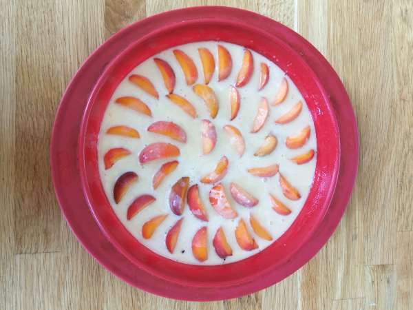 Лесен кайсиев клафутис - Подготовка стъпка 6