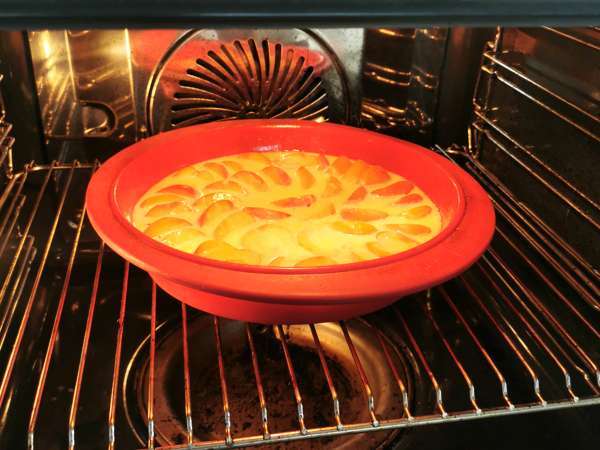 Лесен кайсиев клафутис - Подготовка стъпка 7