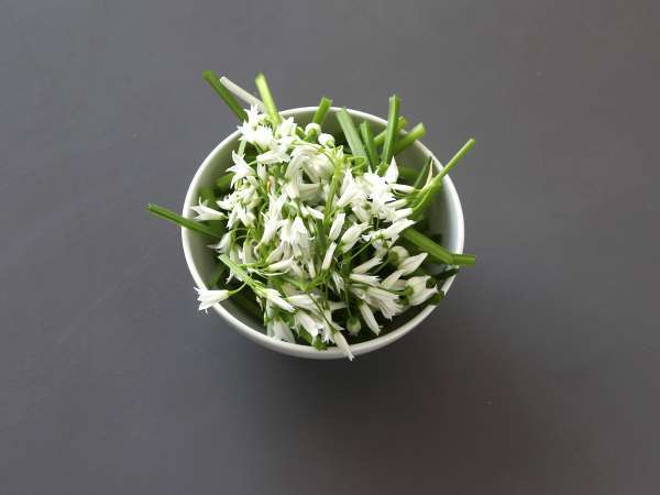 Песто от чесън на Bear, ароматно и супер вкусно! - Подготовка стъпка 1