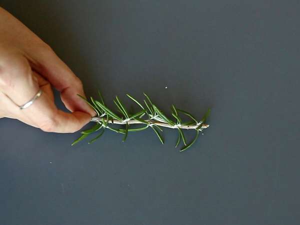 Коктейл със заснежена елха вътре - Подготовка стъпка 1