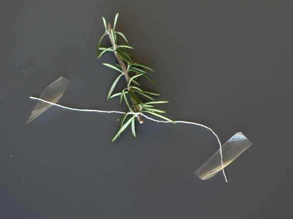 Коктейл със заснежена елха вътре - Подготовка стъпка 3